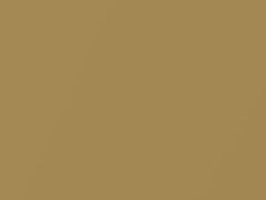 Gold Pearl touch-up paint for Nissan, code EJ3, 1997