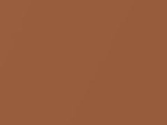 Cyber Orange Mica touch-up paint for Daewoo, code 77F, 2003