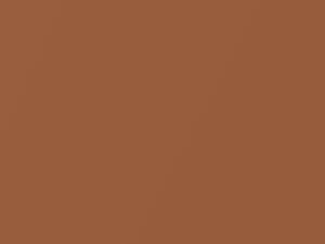 Cyber Orange Mica touch-up paint for Daewoo, code 77F, 2003