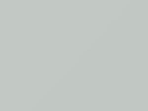 Arctic White touch-up paint for Saab 44807, code 306, 2007
