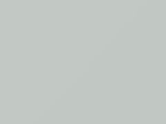 Arctic White touch-up paint for Saab 44690, code 306, 2011