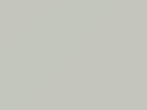 Blizzard Pearl touch-up paint for Daihatsu, code 70, 2015