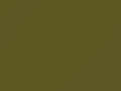 Green touch-up paint for Daihatsu, code G42, 2006