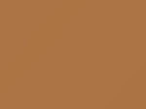 Tan touch-up paint for Chevrolet, code 52, 8958, WA8958, 1986