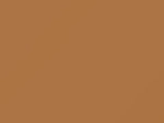 Tan touch-up paint for Chevrolet, code 52, 8958, WA8958, 1986