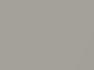 Crystal Metallic touch-up paint for Ford, code 19, M6249A, 1988
