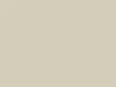 White touch-up paint for Chevrolet, code 11U, 8952, WA8952, 1987