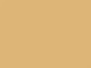 Vanilla Cream touch-up paint for Datsun, code 929, 1985