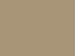 Beige Metallic touch-up paint for Chrysler, code BL4, PL4, 1991