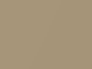 Beige Metallic touch-up paint for Chrysler, code BL4, PL4, 1991