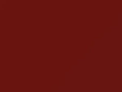 Rangoon Red touch-up paint for Ford Heavy Truck, code 22, ET, M5696A, 1992