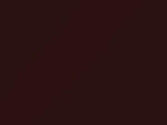 Wine Red touch-up paint for Toyota, code 3B2, 1988
