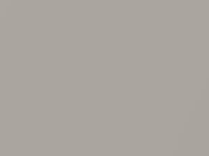 Light Beige Metallic touch-up paint for Toyota, code 4D2, 1988