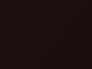 Midnight Cabernet touch-up paint for Lincoln, code 2S, M6163A, 1987