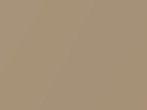 Antique Gold Metallic touch-up paint for Ford, code 65, 6U, M6224A, 1989