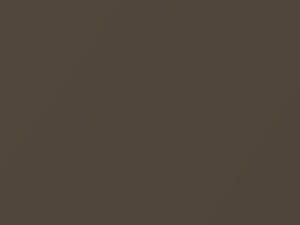 Medium Brown Metallic touch-up paint for Chevrolet, code 65U, 9073, WA9073, 1987