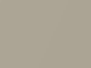 Silky Gold Mica touch-up paint for Toyota Tarago, code 5A4, 2007