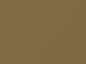 Beige touch-up paint for Toyota, code 4.00E+09, 4E9, 2015
