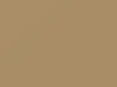 Sand Beige touch-up paint for Ford, code 8L, M5978A, 1988
