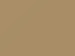 Sand Beige touch-up paint for Ford, code 8L, M5978A, 1988