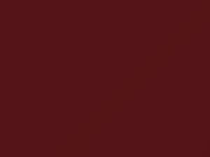 Light Maple Metallic touch-up paint for Buick, code 72, 7263, WA7263, 1984
