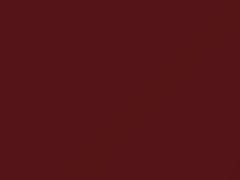 Light Maple Metallic touch-up paint for Buick, code 72, 7263, WA7263, 1984