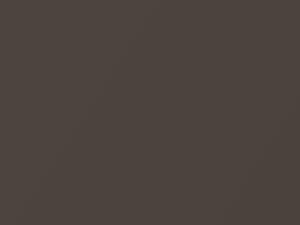 Cocoa Metallic touch-up paint for Buick, code 81, 2012