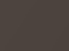 Cocoa Metallic touch-up paint for Buick Enclave, code 81, 2010