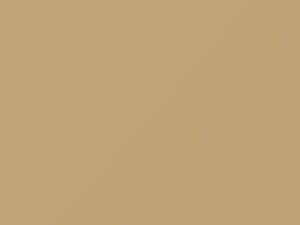 Light Beige touch-up paint for Mazda Truck, code VG, 1984