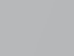 Silver Metallic touch-up paint for Chevrolet, code 8905, WA8905, 1986