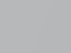 Silver Metallic touch-up paint for Chevrolet, code 8905, WA8905, 1986