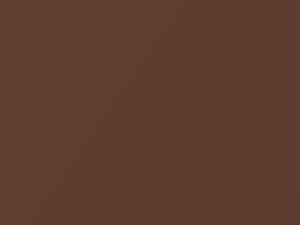 Medium Brown Metallic touch-up paint for Chrysler, code AC10690, C90, 1983