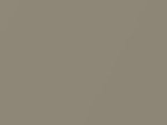 Light Sandalwood Metallic touch-up paint for Ford, code 8H, M6010A, 1987