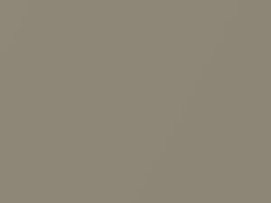 Light Sandalwood Metallic touch-up paint for Ford, code 8H, M6010A, 1987