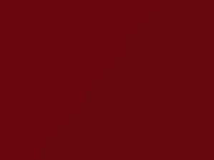 Phoenix Red touch-up paint for Honda, code R51, 2012