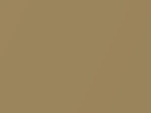 Light Wheat Metallic touch-up paint for Ford, code 6E, M5941A, Y2, 1993