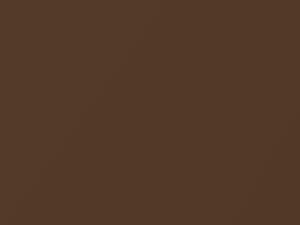 Golden Bronze Metallic touch-up paint for Dodge Wagon, code ET5, PT5, 1987