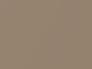 Light Brown Metallic touch-up paint for Chevrolet, code 67U, 9139, WA9139, 1987