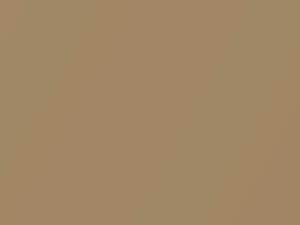 New Bright Gold Metallic touch-up paint for Chrysler, code K19, 1981