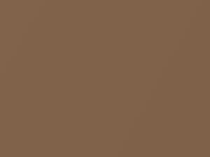 Light Beechwood Metallic touch-up paint for Buick, code 57C, 9278, WA9278, 1989
