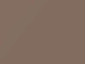 Antelope Beige touch-up paint for Buick, code 86, 9200, WA9200, 1990