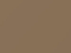 Taupe Beige touch-up paint for Nissan, code 422, 1987