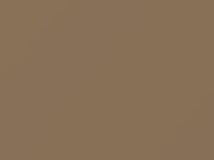 Taupe Beige touch-up paint for Nissan, code 422, 1987