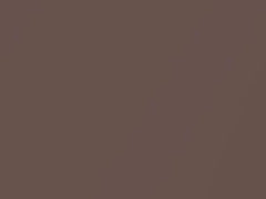 Light Rosewood Metallic touch-up paint for Buick, code 80, 8992, WA8992, 1989