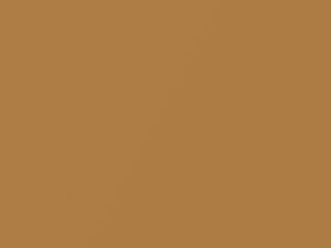 Gold Metallic touch-up paint for Chevrolet, code 56, 7418, WA7418, 1982