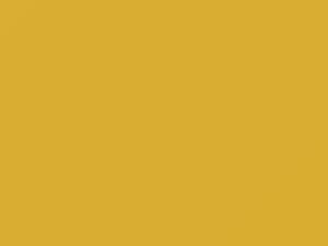 Yellow Gold touch-up paint for Chevrolet, code 51, 8522, WA8522, 1985