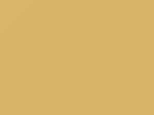 Yellow Beige touch-up paint for Buick, code 9337, WA9337, 1987