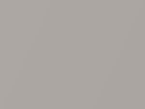 Light Beige Metallic touch-up paint for Nissan Sentra, code 449, 1990