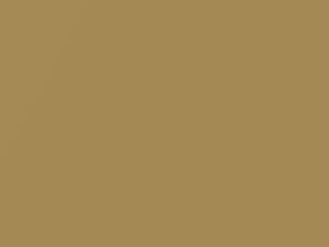 Sand Metallic touch-up paint for Mercury, code 6B, M5738A, 1983