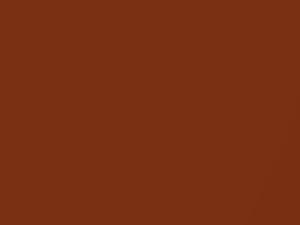 Light Russet Metallic touch-up paint for Chevrolet, code 65, 8546, WA8546, 1984